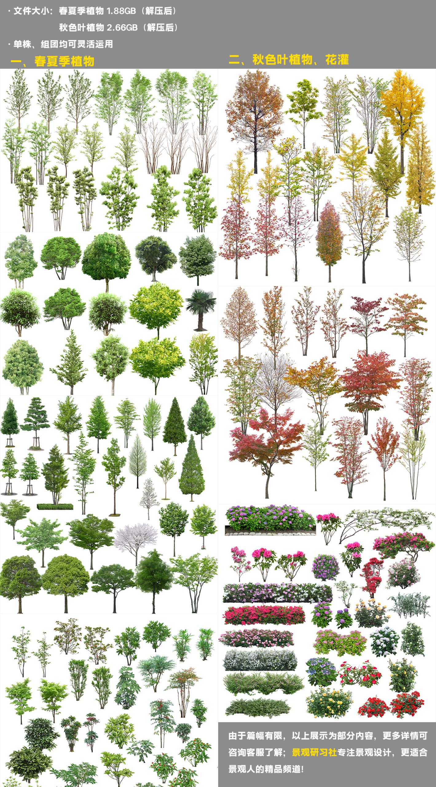 效果图植物psd小合集-景观研习社